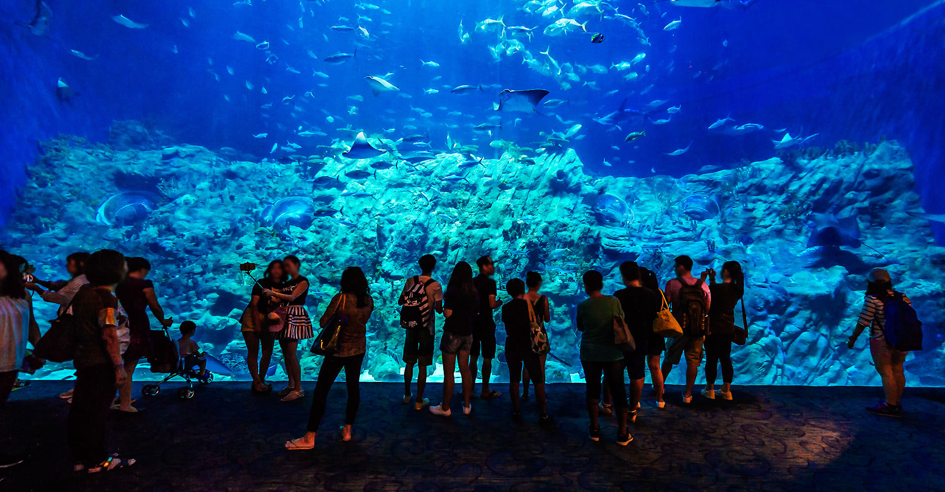 GrandAquarium_04.jpg