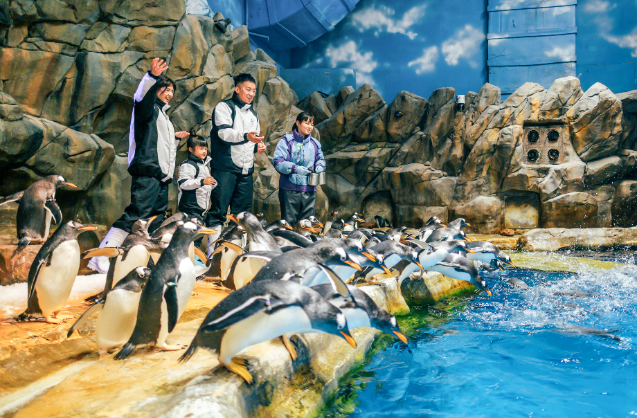 penguin-expedition-2.jpg